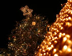 Christmas Wallpapers 174